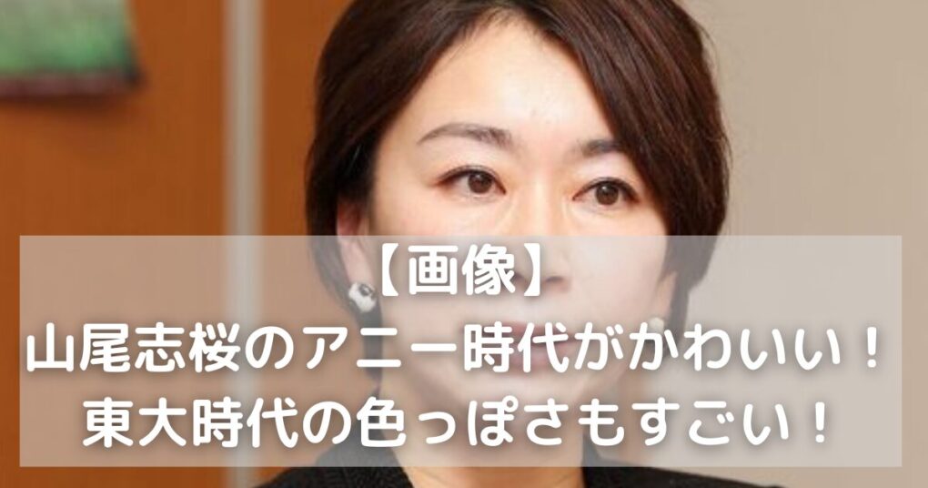 【画像】山尾志桜のアニー時代がかわいい！東大時代は色っぽい